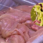 ZARAZA SPRIJEČENA U ZADNJI ČAS: U piletini iz BiH otkrivena opasna bakterija Salmonella!