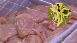 65BD2DCC-08BD-4B8B-A1A7-B3971763E134