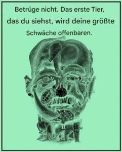 image_870x_69415c96d2a26